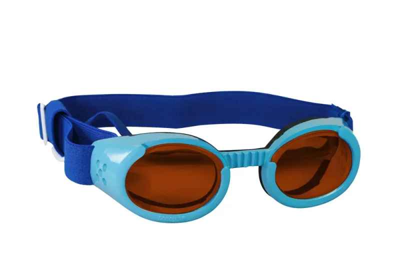 Lunettes de protection orange et bleues, conçues pour les petits animaux. Équipées d'une sangle réglable pour un maintien sécurisé durant les traitements.