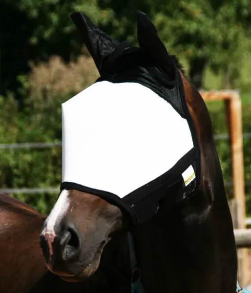 Masque blanc et noir ajusté sur un cheval, offrant une protection optimale lors des traitements vétérinaires au laser.